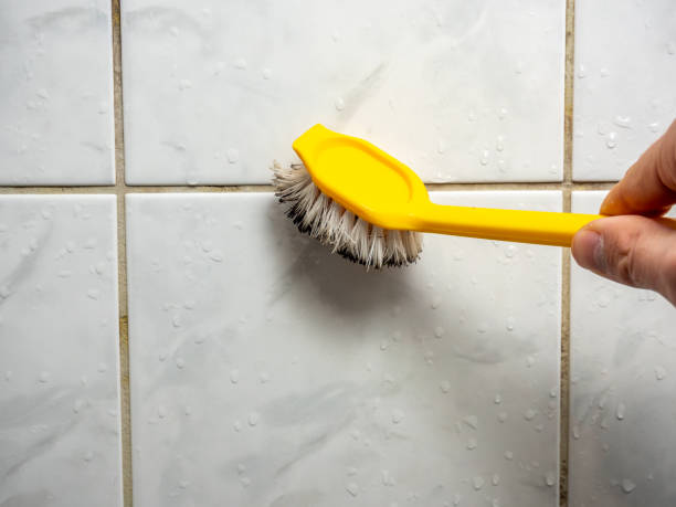  Burnsville, NC Mold Removal Pros