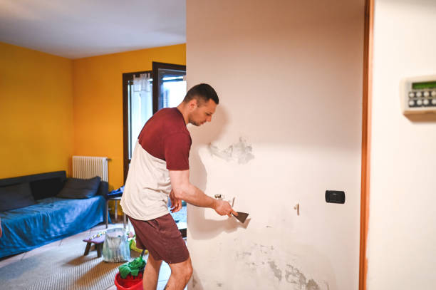 Best Mold Testing  in Burnsville, NC